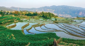 智慧農(nóng)業(yè)平臺(tái)