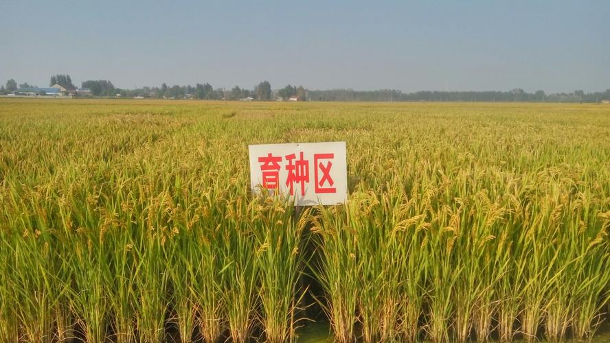 育種試驗管理系統(tǒng)